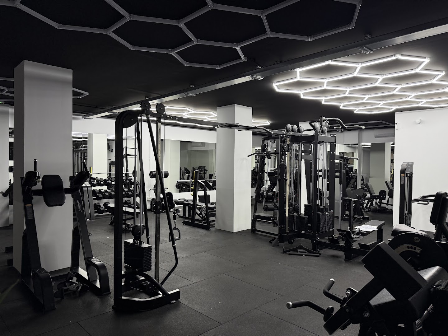 Stellar Fitness & Wellness · Fotos 1
